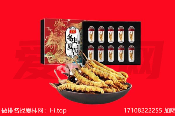 孝感市回收虫草.jpg